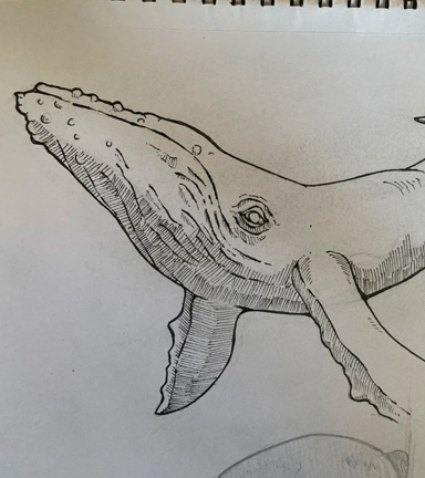 Mischa Williams's work after mentorship